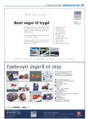 Síða 13
