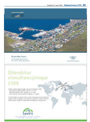 Síða 21