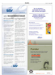 Síða 2