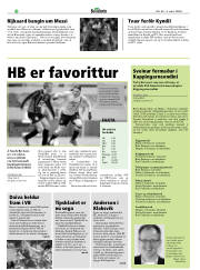 Síða 32