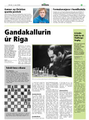 Síða 31