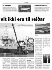 Síða 11