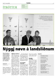 Síða 31