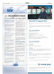 Síða 25