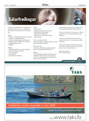 Síða 29