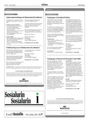 Síða 45