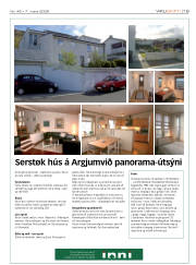 Síða 19