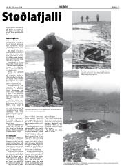 Síða 17