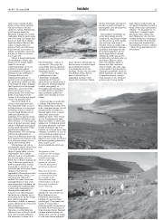 Síða 35