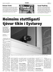 Síða 11