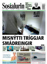 Síða 1