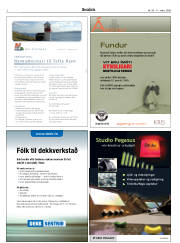 Síða 2