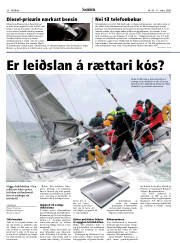 Síða 20