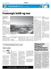 Síða 31