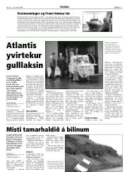 Síða 13