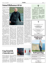 Síða 17