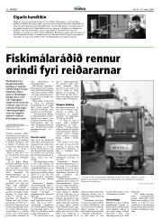 Síða 10