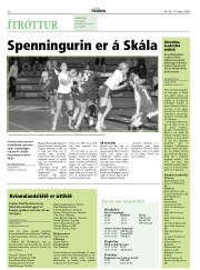 Síða 20