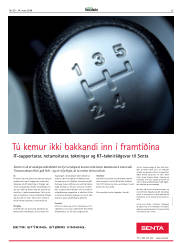 Síða 25