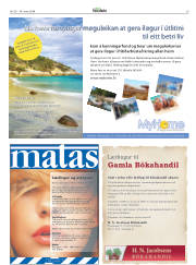 Síða 29