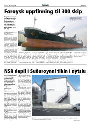 Síða 31