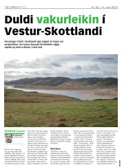 Síða 12