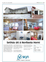 Síða 19
