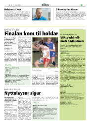 Síða 17