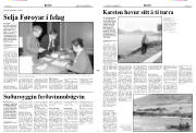 Síða 3
