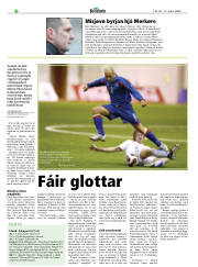 Síða 20