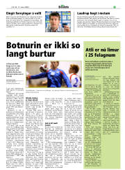 Síða 21