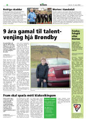 Síða 22
