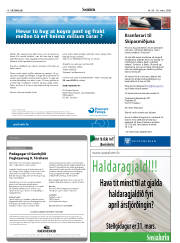 Síða 18