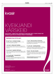 Síða 6