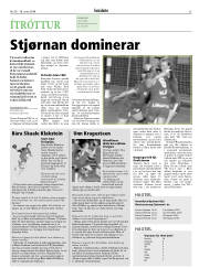Síða 33