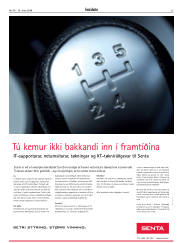 Síða 25