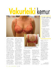 Síða 26