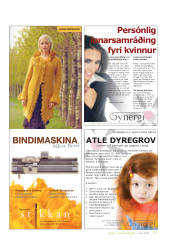 Síða 37