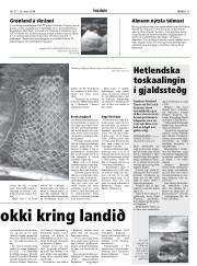 Síða 11