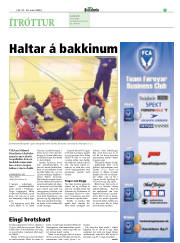 Síða 17