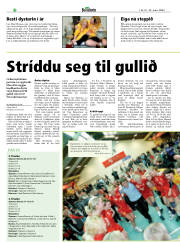 Síða 20