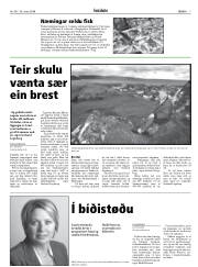 Síða 7