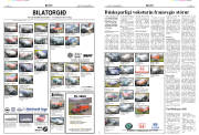 Síða 8