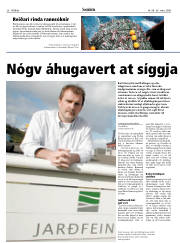 Síða 26