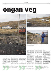 Síða 29