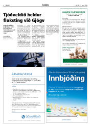 Síða 6