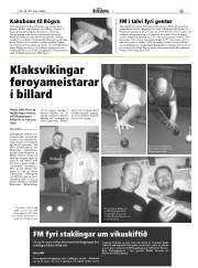 Síða 33