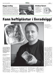 Síða 7