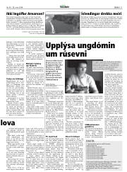 Síða 11