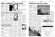 Síða 3